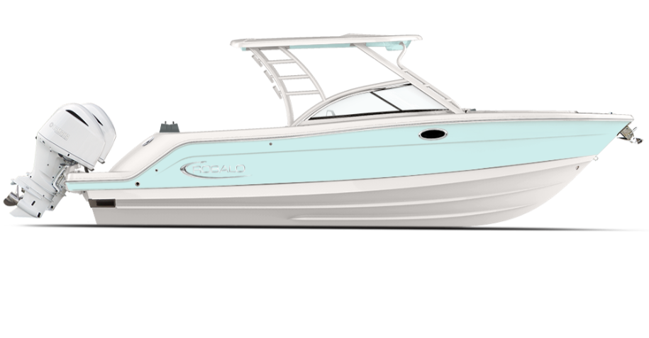 Image of a 2019 317  Dual Console
