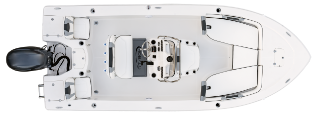2027 206 Cayman Overhead