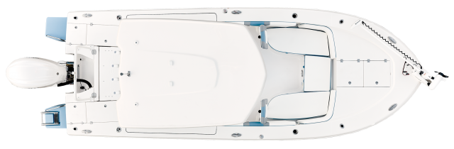 2025 R246 Cayman Overhead