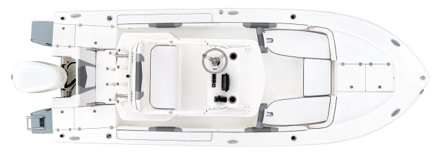 2025 R246 Cayman Sky Deck Overhead
