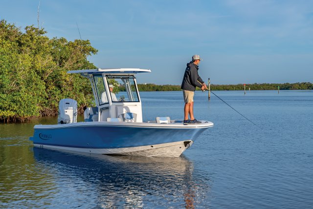 2025 R266 Cayman Fishing in Ocean 2