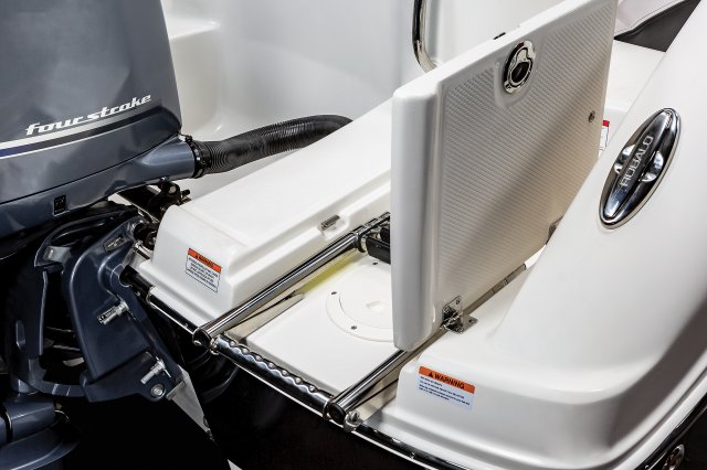 2025 R202EX Swim Platform Ladder