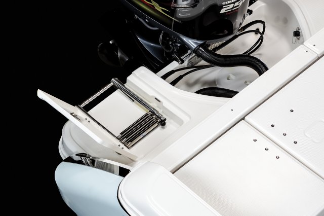 R230 - Swim Platform Ladder