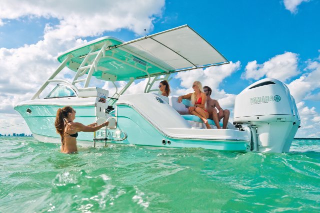 2025 R317 Sandbar