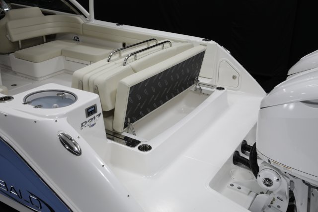 2027 R317 Transom Storage