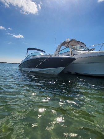 Pre-Owned 2016  powered Power Boat for sale