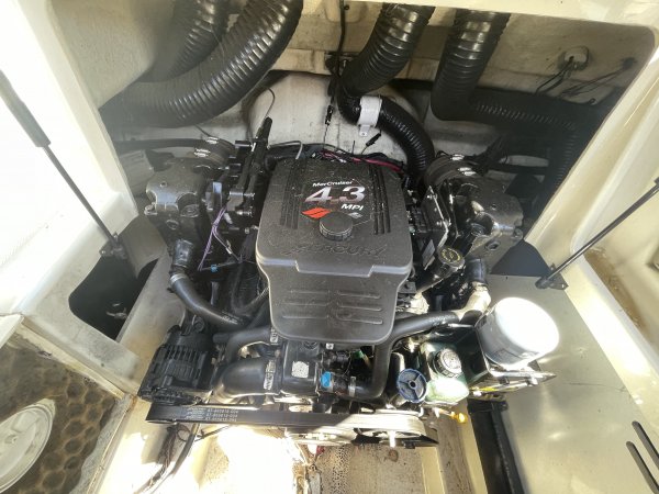 Pre-Owned 2005  powered Sea Ray Boat for sale