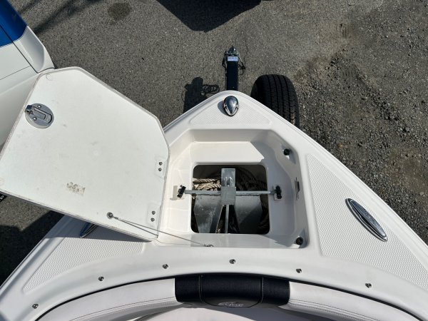 Used 2019  powered Power Boat for sale