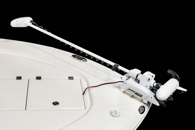 246 Cayman - Trolling Motor