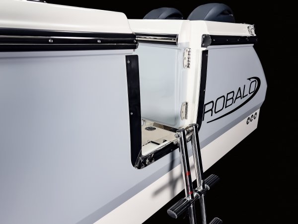 R250-SideEntryDoor-Ladder