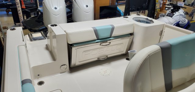 New 2025 Robalo R250 for sale